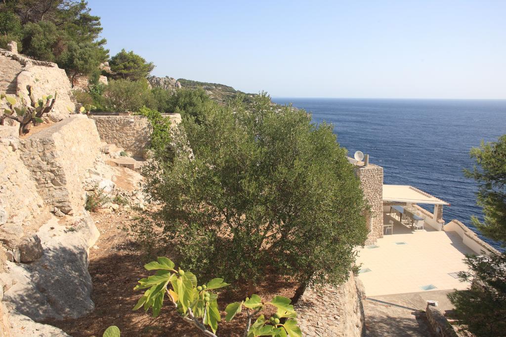 Villa Bocca Del Pozzo กาเยียโน เดล คาโป ภายนอก รูปภาพ