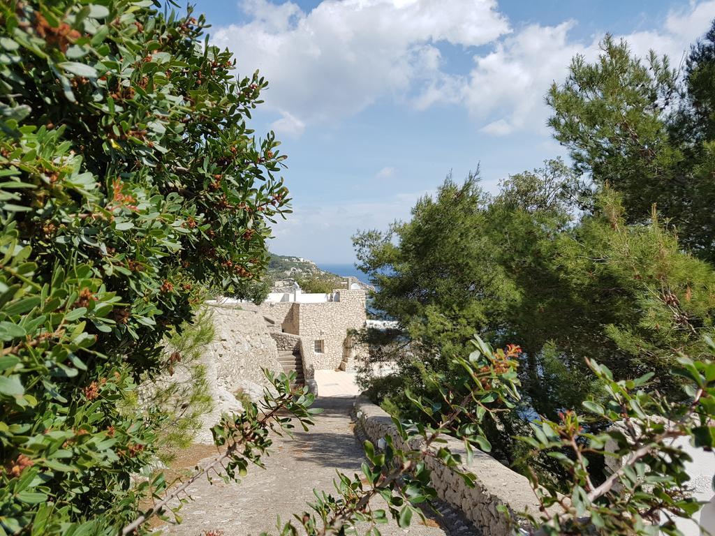 Villa Bocca Del Pozzo กาเยียโน เดล คาโป ภายนอก รูปภาพ